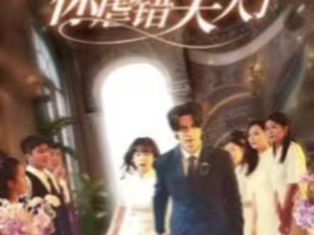 陸總住手吧，你虐錯(cuò)夫人了(全集)