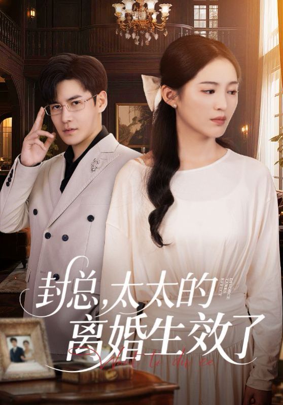 封總太太的離婚生效了(全集)