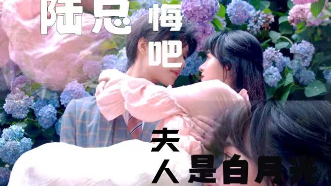 陸總懺悔吧，夫人才是白月光(全集)