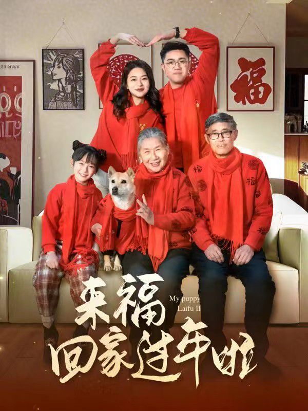 來?；丶疫^年啦(全集)