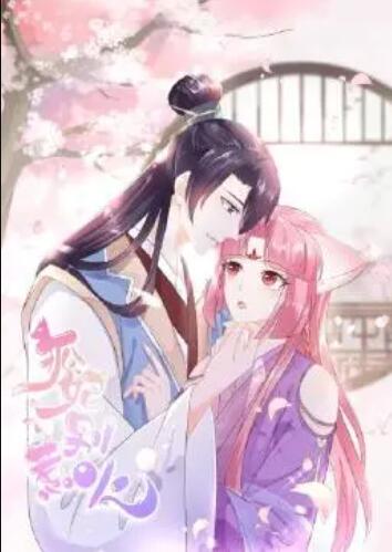 狐妃，別惹火