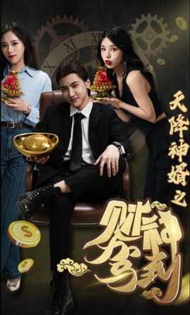 天降神婿之財(cái)神駕到(全集)