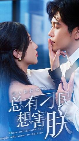 夫人快救駕，總有刁民想害朕(全集)