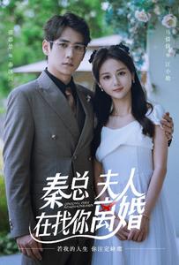 秦總，夫人在找你離婚(全集)