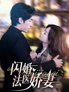 閃婚法醫(yī)嬌妻(全集)