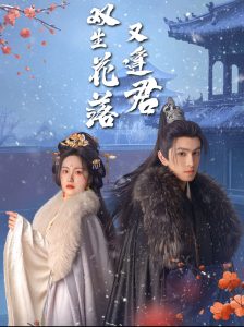 雙生花落又逢君(全集)