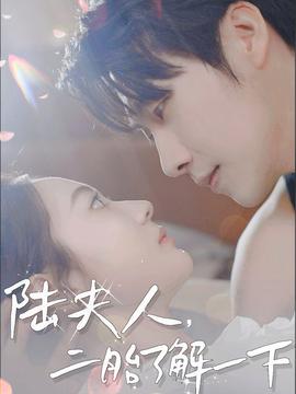 陸夫人，二胎了解一下(全集)