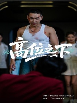 高位之下(全集)