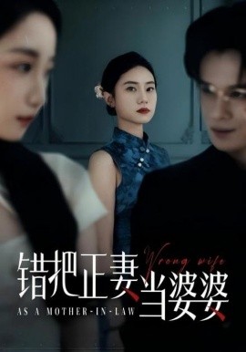 錯(cuò)把正妻當(dāng)婆婆(全集)