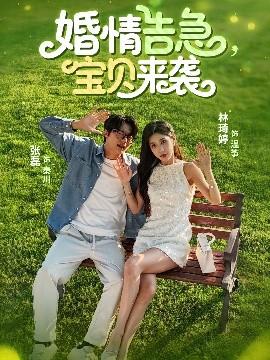 婚情告急，寶貝來(lái)襲(全集)