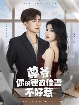 尊爺，你的律政嬌妻不好惹(全集)