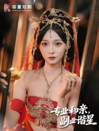 專業(yè)和親，副業(yè)諧星(全集)