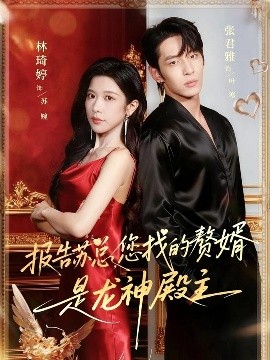 報(bào)告蘇總，您找的贊婿是龍神殿主(全集)