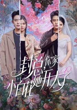 封總，你家小白花她開大了(全集)