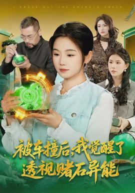 被車撞后，我覺醒了透視賭石異能了(全集)