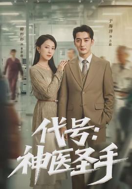 代號(hào)：神醫(yī)圣手(全集)