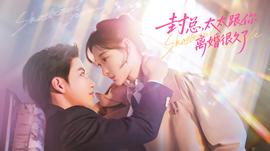 封總，太太跟你離婚很久了(全集)