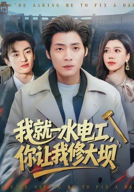 我就一水電工，你讓我修大壩(全集)