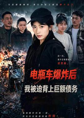 電瓶車爆炸后，我被迫背上巨額債務(wù)(全集)